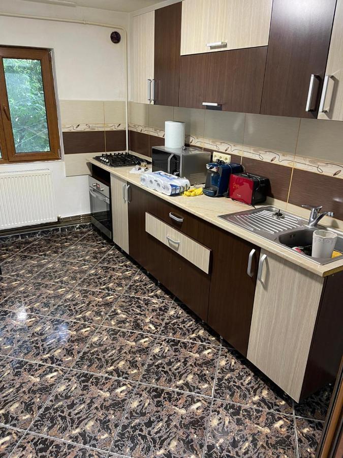Royal Apartment Buzău Extérieur photo