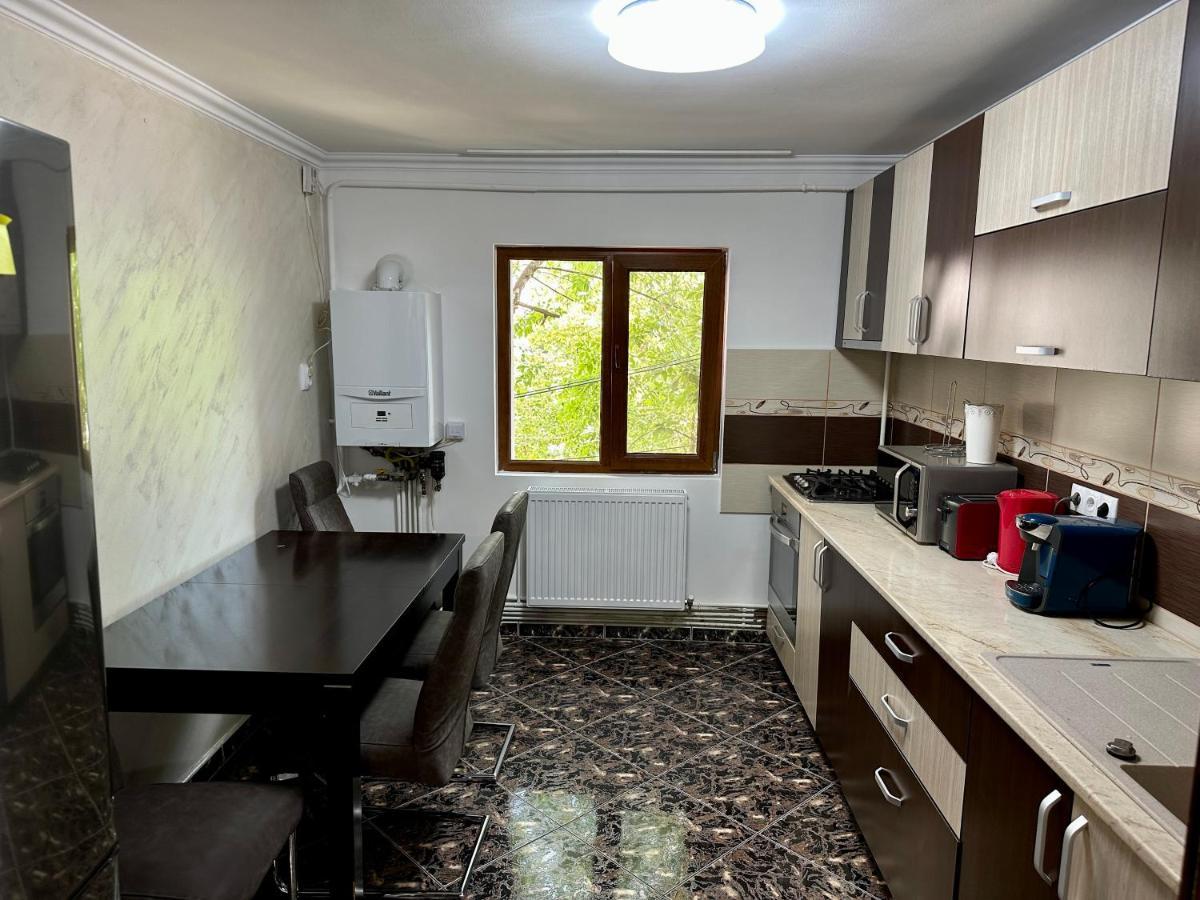 Royal Apartment Buzău Extérieur photo